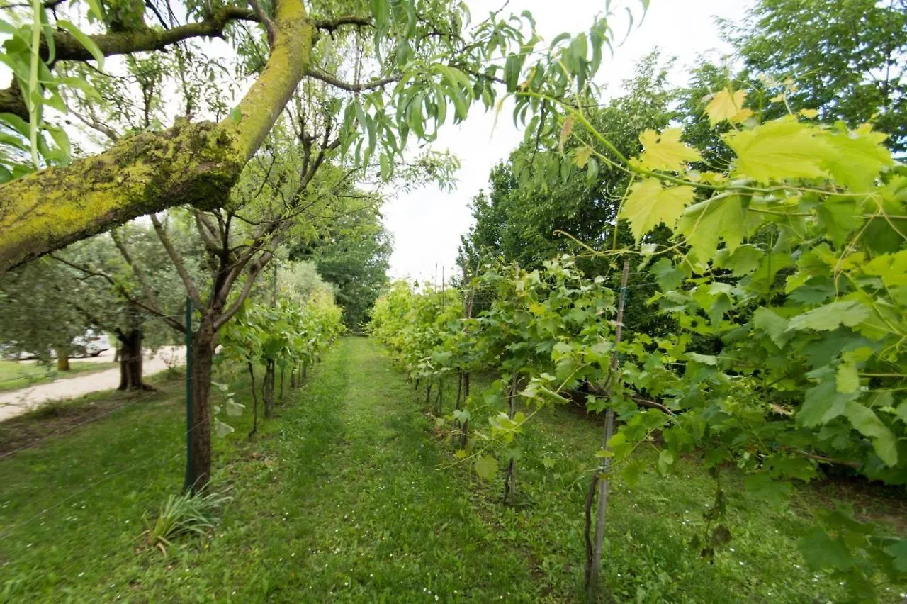 Tenuta Engi Verona Apartment